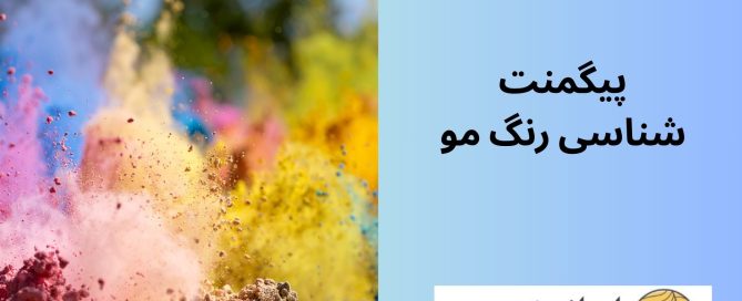 پیگمنت شناسی رنگ مو